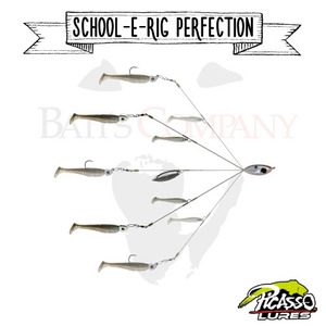 [피카소]School-E-Rig Perfection